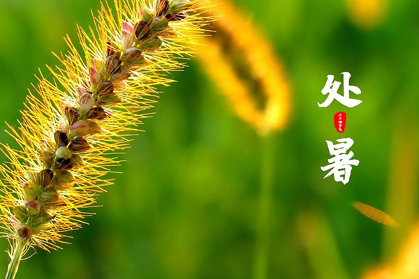 ���İ��b | �]�e���գ��s����һ��������S